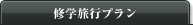 Cwsv